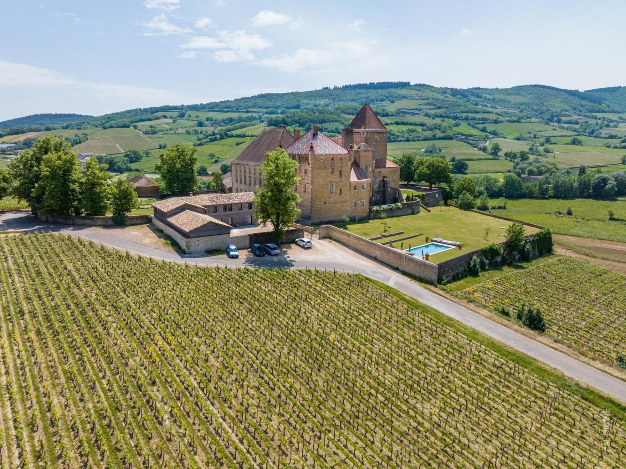 Chateau De Pierreclos Ngoại thất bức ảnh