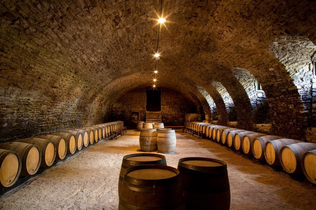 Chateau De Pierreclos Ngoại thất bức ảnh